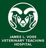 James L. Voss