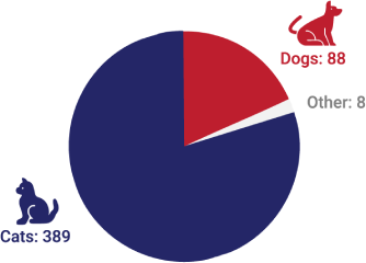 Stray Animals Supported
