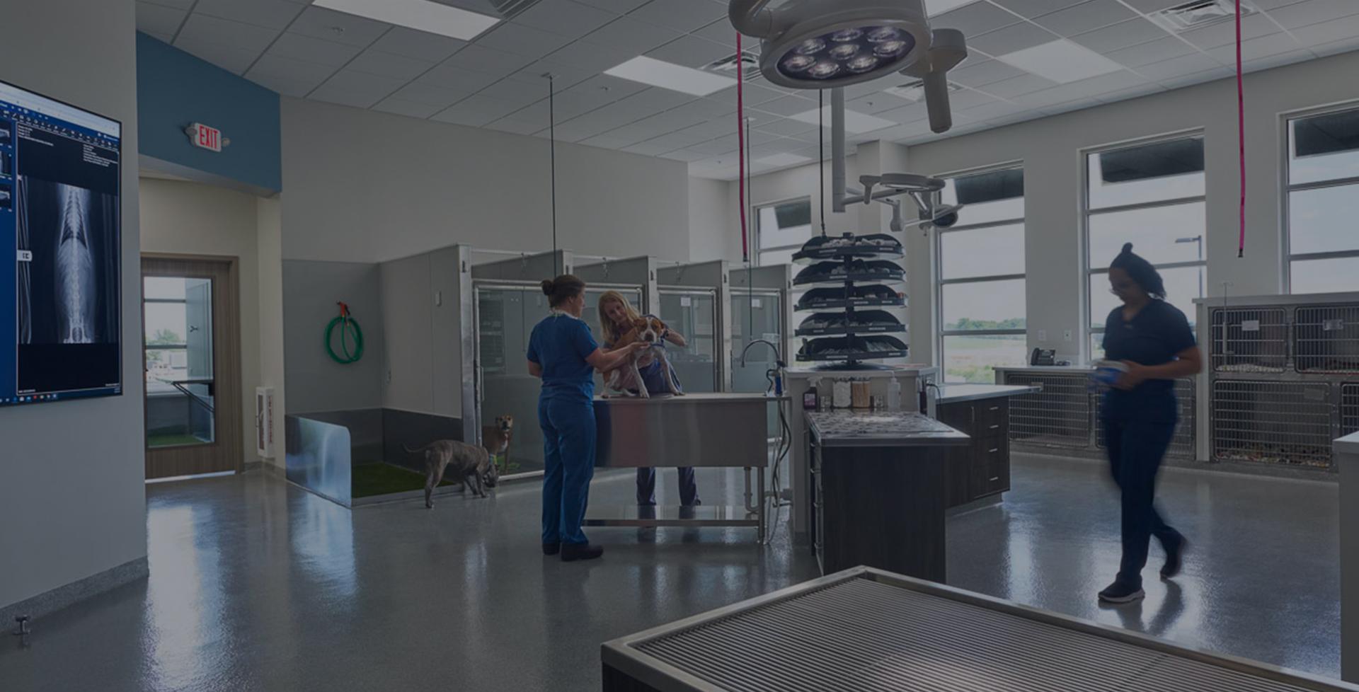 After Hours Veterinarian | Mason Dixon Emergency Pet Hospital After Hours Veterinarian | Mason Dixon Emergency Pet Hospital