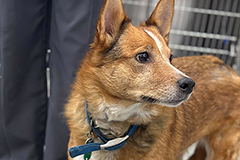 We’re aiming higher.